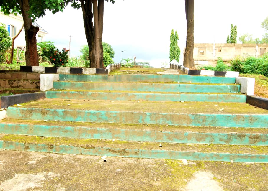 Outdoor steps leading through a landscaped area